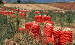 Çiftçilerin geliri artacak