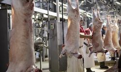 Şimdi de Balıkesir kuzusu sahtekarlığı