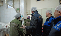 Böcek ailesi öldü! Gıda denetimleri arttı!