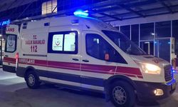 Denize girdi sağ çıkamadı!