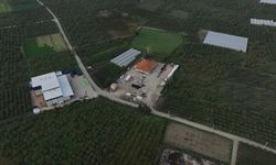 Bursa Büyükşehir'den kırsal kalkınmaya büyük destek