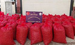 Çaldıkları cevizi satamadan yakalandılar