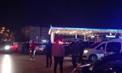 Bekçileri tehdit etti, etkisiz hale getirildi