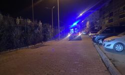 Bursa'da sigara vermeyen genci bıçakladı