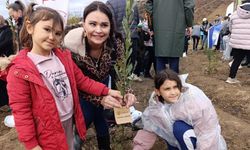 Bursa yeniden yeşeriyor