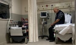 Yedikleri mantar hastanelik etti