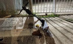 Otomobilin çarptığı scooter sürücü ağır yaralandı