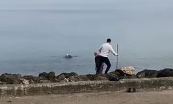 Denize elbiseleriyle girip hayvanı kurtardı
