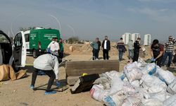 Katletmişler, tuzlayıp, çekyata koyup atmışlar!