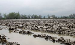 Bursa'da yağmur sevinci, çiftçinin yüzü güldü