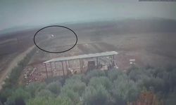 Başına taşla vurdu, canlı canlı toprağa gömdü!