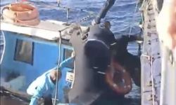 Herkesin gözü önünde feribottan denize atladı!