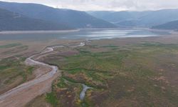 Kuraklık ve sanayi Bursa'daki göleti kurutuyor