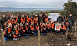BUSADER, yanan ormanları fidanlarla buluşturdu