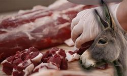 Eşek ve at etlerini 250 TL'den satmışlar