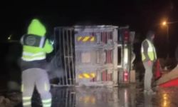 Koyun yüklü kamyon devrildi