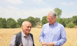 CHP'li Mudanya Belediyesi'nde köylülere taşınmaz cevabı