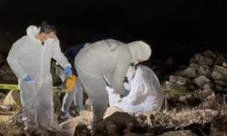 Elif Kumal'ın cansız bedeni gölette bulundu!