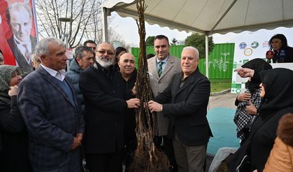 'Bursa kestanesinin değer bulması için çalışıyoruz'