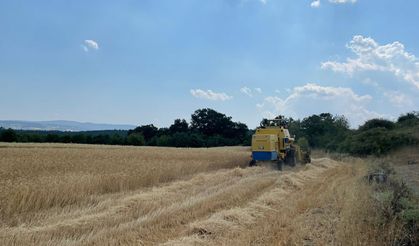 Bursa'da çiftçinin yüzünü güldüren proje