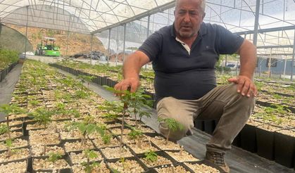 Uludağ'ın eteklerinde tersine göçün önünü açacak