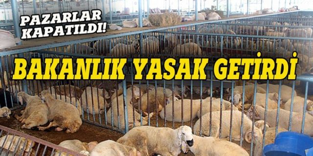 Bakanlık açıkladı,  hayvan pazarlarında büyük risk