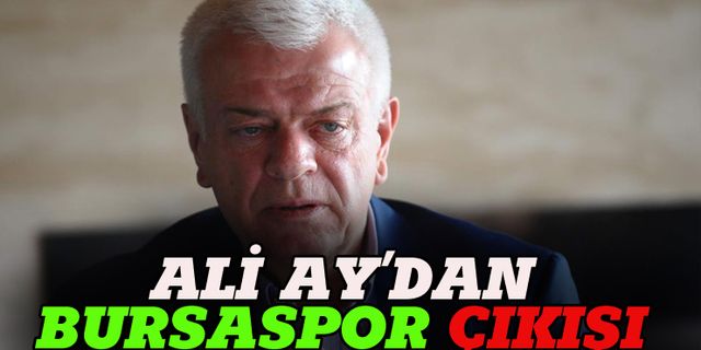 Ali Ay'dan  Bursaspor çıkışı