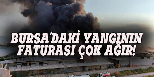 Bursa'daki büyük yangının faturası çok ağır!