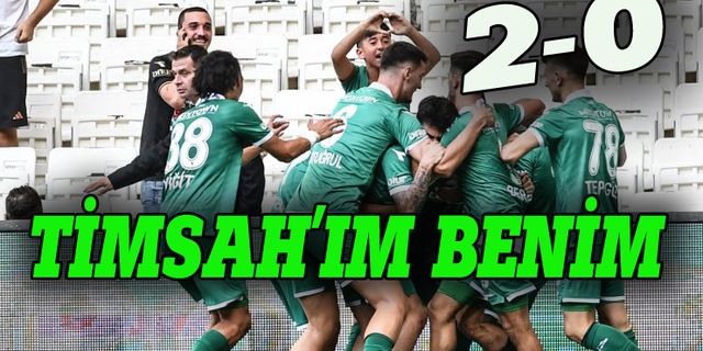 Bursaspor Ankaraspor'u sahadan sildi 2-0