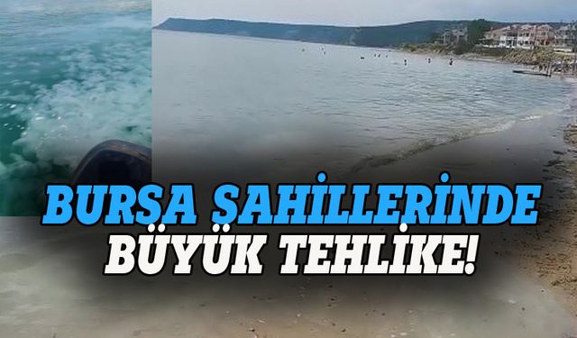 Bursa'da sahillerinde denizanası tehlikesi!