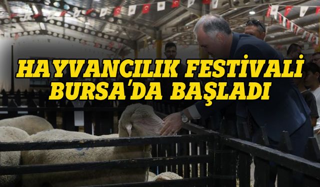 Hayvancılık festivali Bursa'da başladı