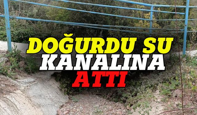Doğurdu su kanalına attı!