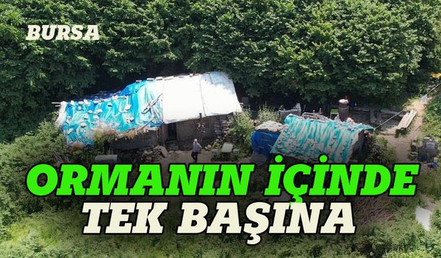 Uludağ'da tek başına bir hayat