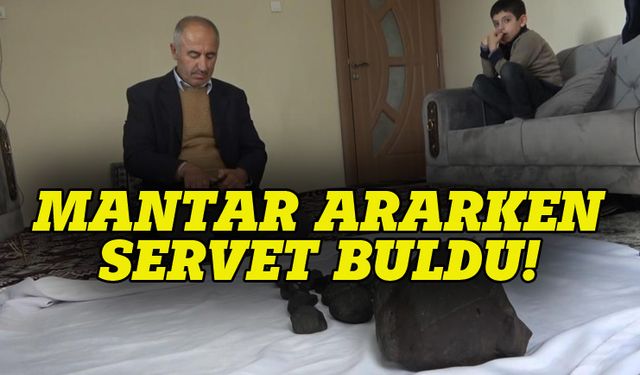 Ormanda mantar ararken servet buldu!