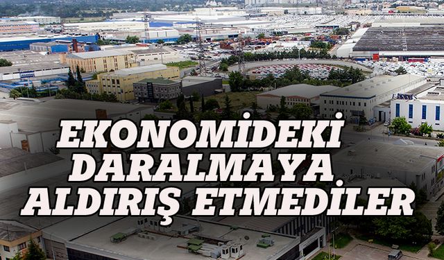 Ekonomideki dalgalanmaya rağmen büyüdüler