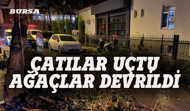 Bursa'da lodos etkili oldu, çatılar uçtu