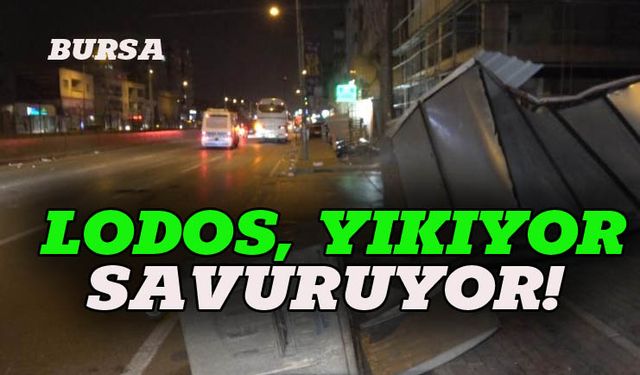 Bursa'yı lodos yıkıyor, koparıyor ve savuruyor!