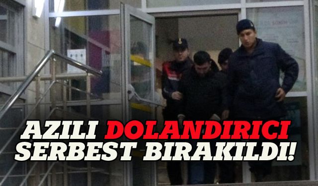 Azılı dolandırıcı serbest bırakıldı!