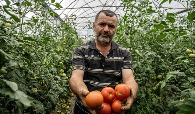 Öğretmenliği bıraktı, örnek bir sera kurdu; yanında tam...