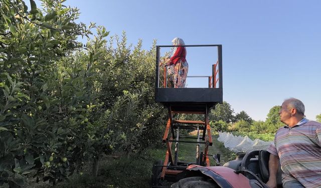 Bursalı çiftçi, asansör tasarladı; Hasat erkenden bitti