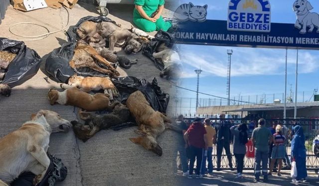 Gebze Belediyesi'ne boykot büyüyor