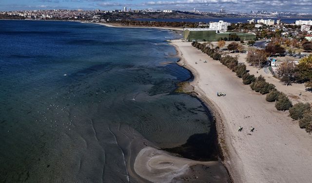 Ürküten görüntü, deniz suyu 70 metre çekildi