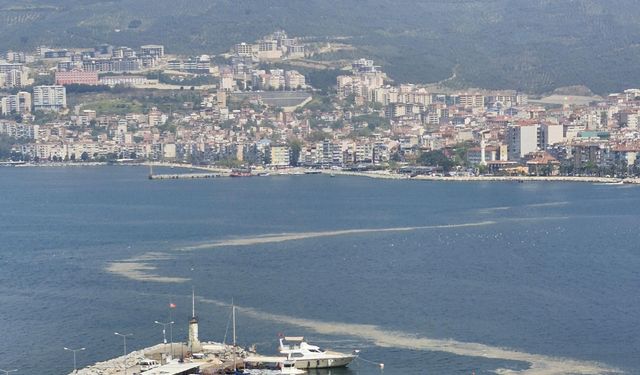 Bursa'nın o ilçesinde korkutan görüntü!