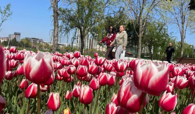Bursa'nın park ve bahçelerinde olağanüstü görüntüler