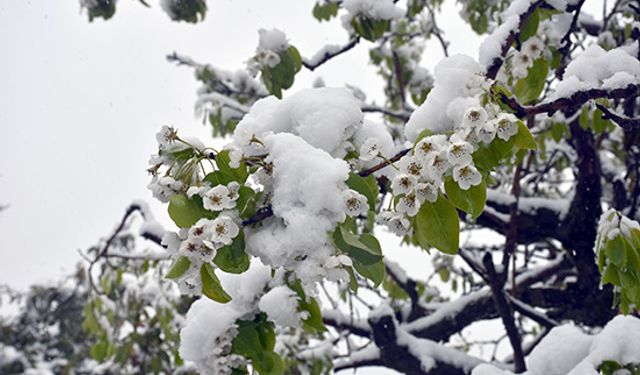 Marmara Bölgesi'nde bugün hava nasıl olacak?