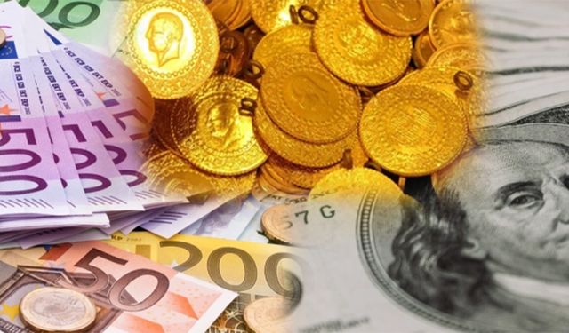 Euro, altın ve dolar yatırımcısına ne kadar kazandırdı?