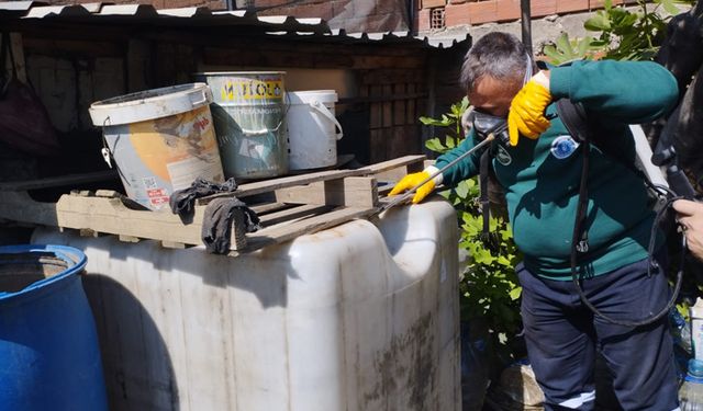 Bursa'da sinek ve haşereyle etkin mücadele