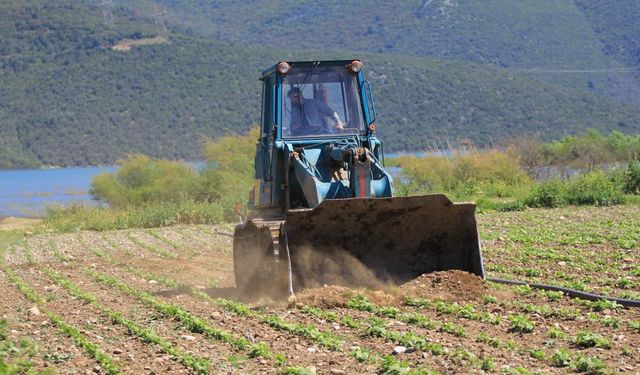 Bursa'da ekili arazileri DSİ dümdüz etti!