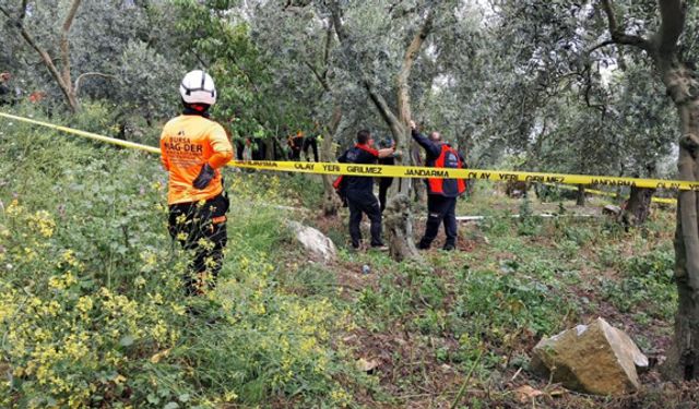 Öğretmenden acı haber, zeytin ağacına asılı halde...