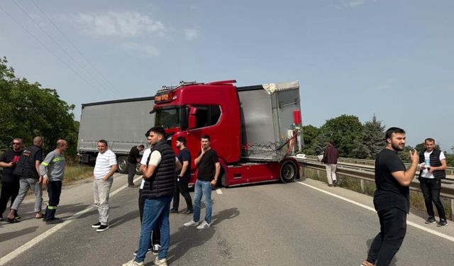 Tır şoförünü arı soktu, trafik altüst oldu!